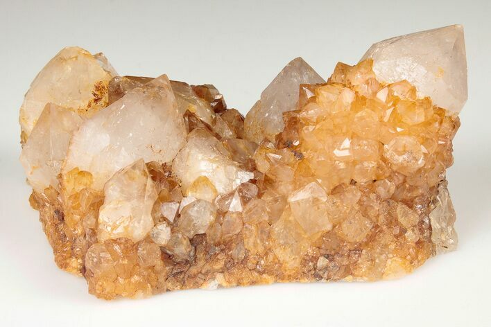 Sunshine Cactus Quartz Crystal Cluster - South Africa #191799